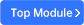 Top Module